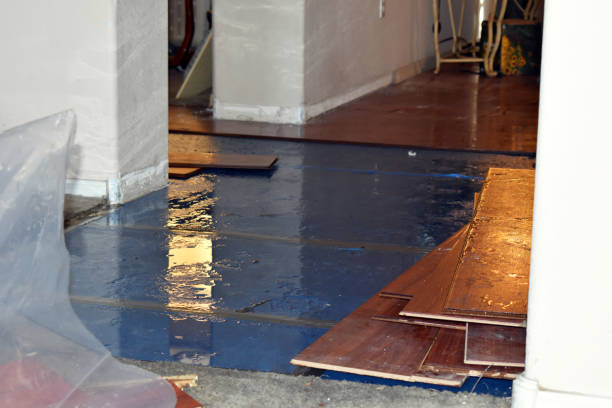 Professional Water Damage Restoration technician working in Burlington, NJ